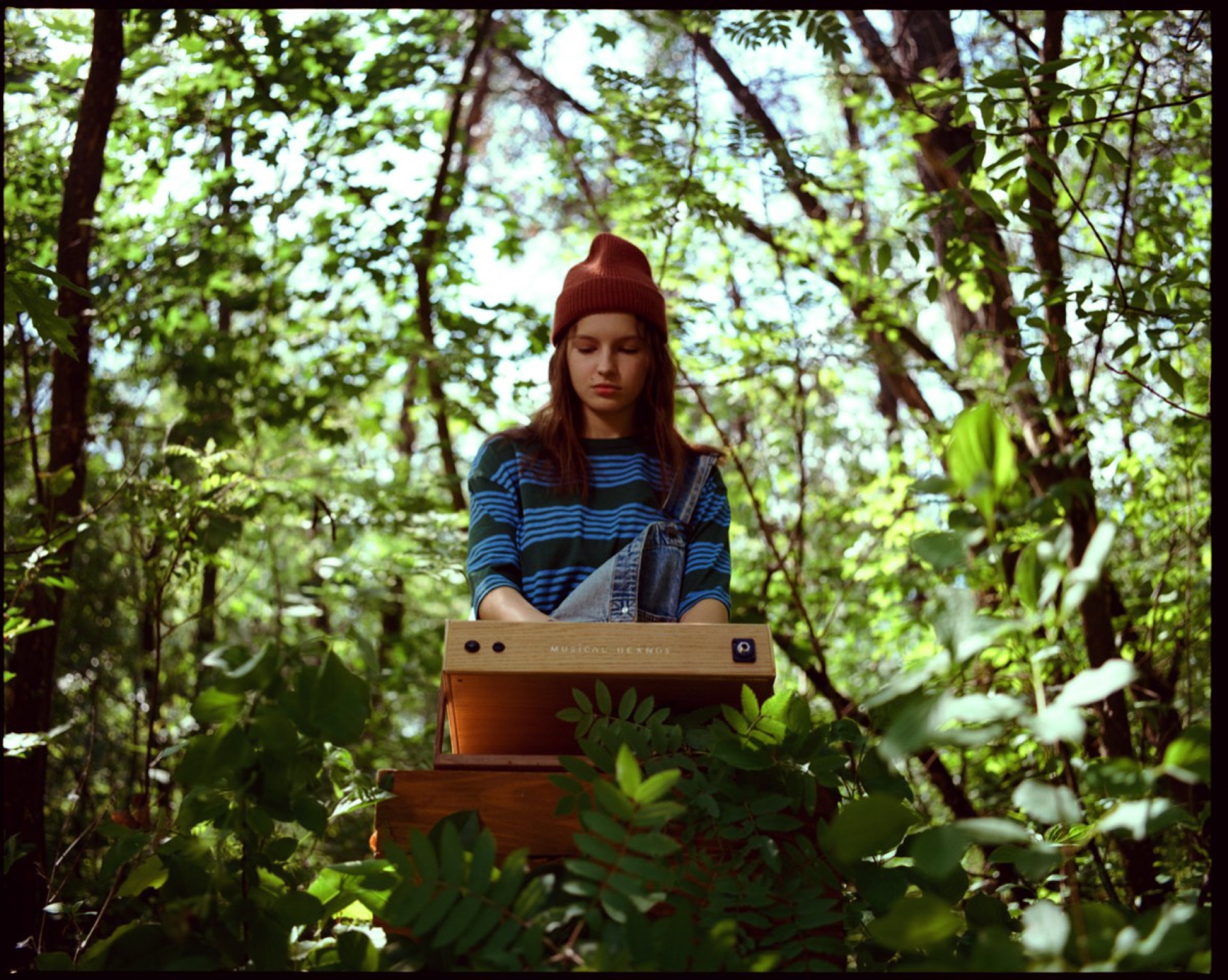 Tembo by Alon Daniel 4